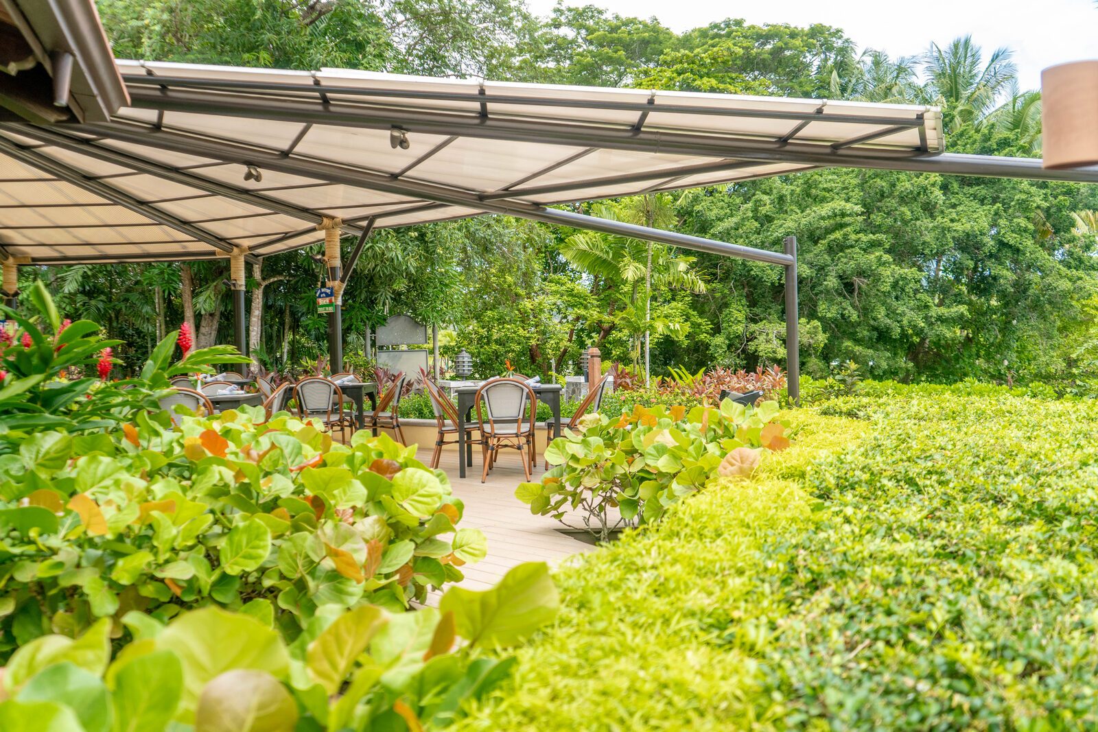 Dining & Food in Jacó