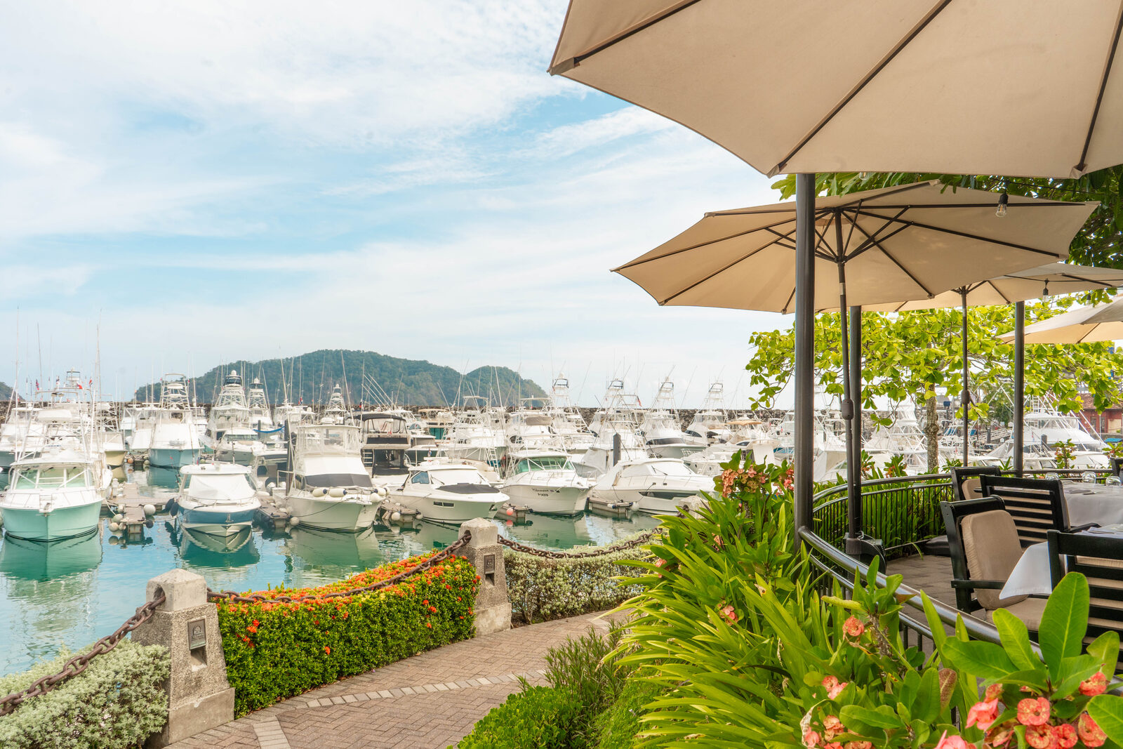 Sport Fishing in Jacó